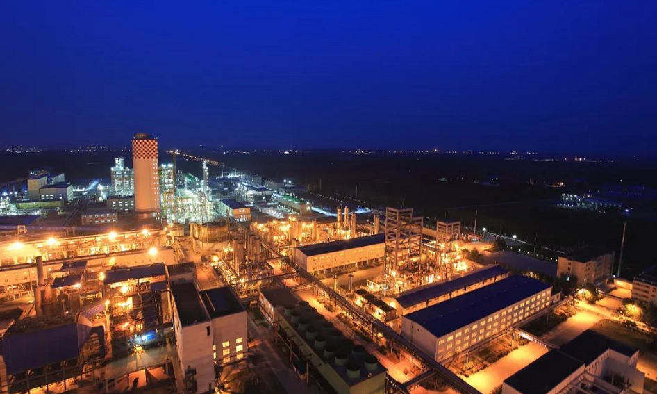 1637041944826628.png image.png