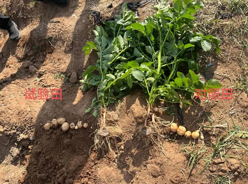 1658816964733106.png image.png