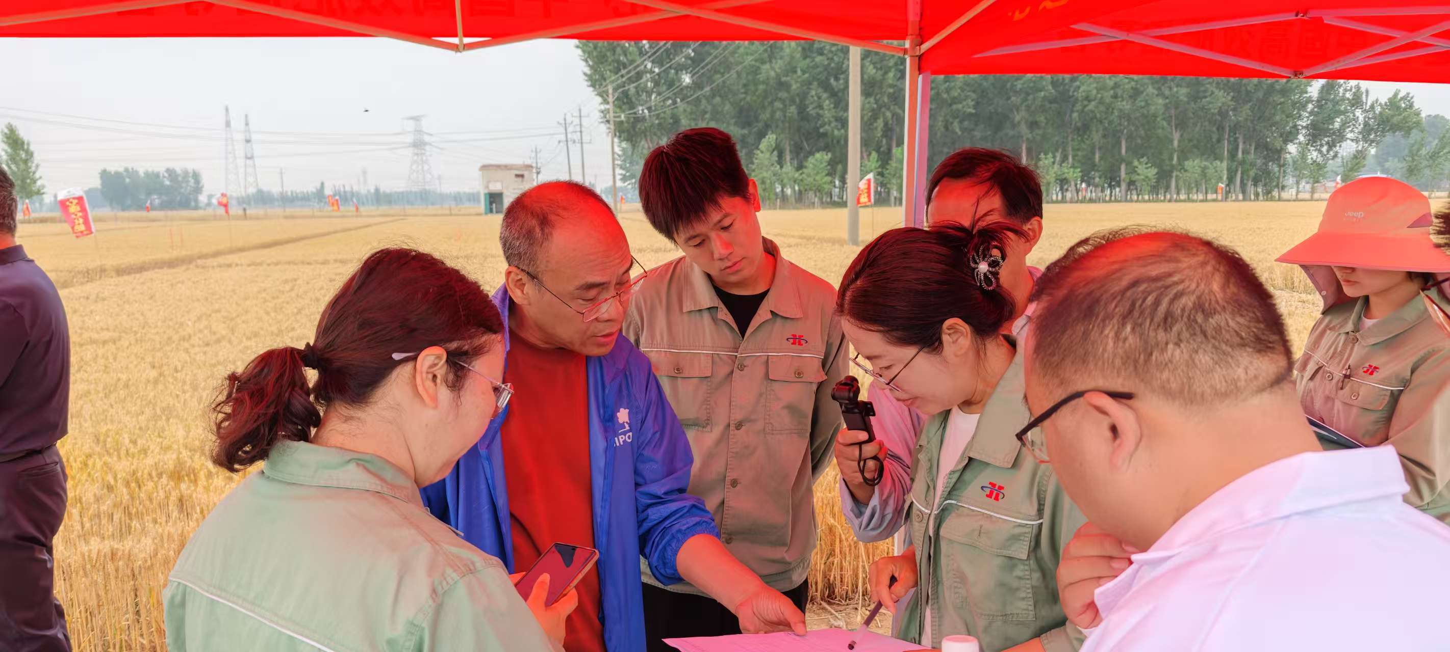 高溫旱情下科技賦能農(nóng)業(yè)！心連心集團(tuán)主持的兩個(gè)“十四五”課題交出亮眼成績單