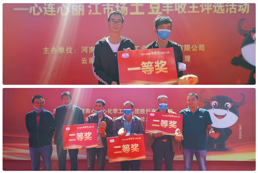 喜迎豐收，薯王爭霸！——心連心麗江市場土豆豐收王評選活動成功舉行